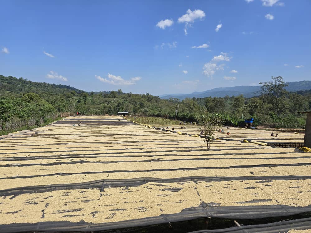 Quality Assured Trading